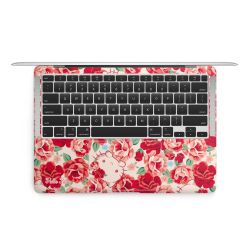 Folien für Laptops matt