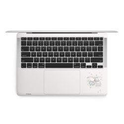 Foils for Laptops matt