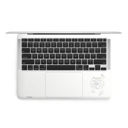 Foils for Laptops matt