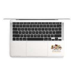 Folien für Laptops matt