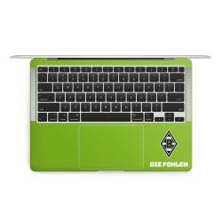 Folien für Laptops matt