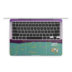 Folien für Laptops matt