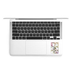 Folien für Laptops matt