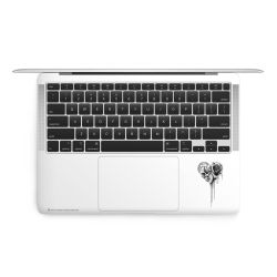 Foils for Laptops matt