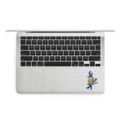 Foils for Laptops matt