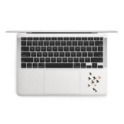 Foils for Laptops matt