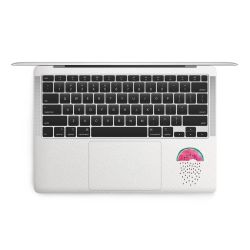 Foils for Laptops matt