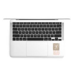 Foils for Laptops matt