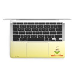 Folien für Laptops matt