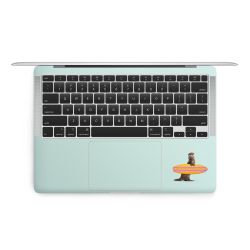 Foils for Laptops matt