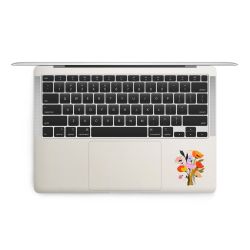 Foils for Laptops matt