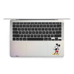 Foils for Laptops matt