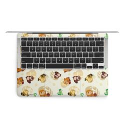 Foils for Laptops matt