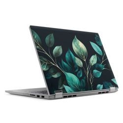 Eukalyptus dunkler Hintergrund