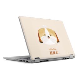 Foils for Laptops matt
