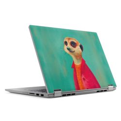 Foils for Laptops matt