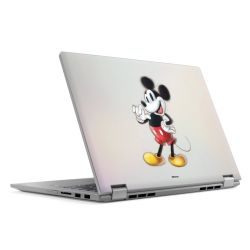 Foils for Laptops matt