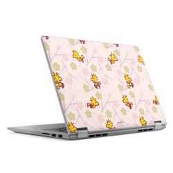 Foils for Laptops matt