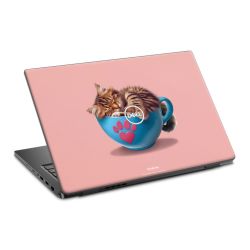 Foils for Laptops matt