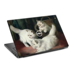 Foils for Laptops matt