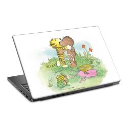 Foils for Laptops matt