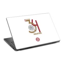 Foils for Laptops matt