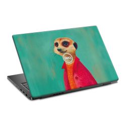 Foils for Laptops matt