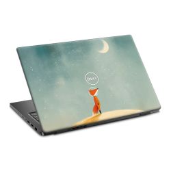 Foils for Laptops matt