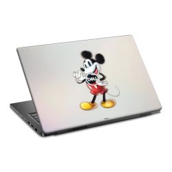 Foils for Laptops matt