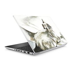 Foils for Laptops matt