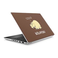 Folien für Laptops matt