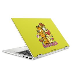 Foils for Laptops matt