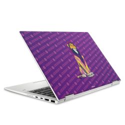 Foils for Laptops matt