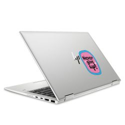 Foils for Laptops matt