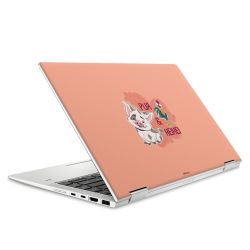 Foils for Laptops matt