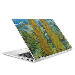 Foils for Laptops matt