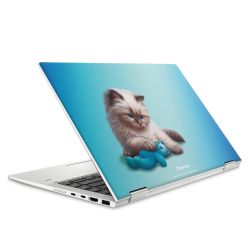 Foils for Laptops matt