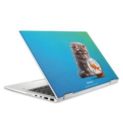 Foils for Laptops matt