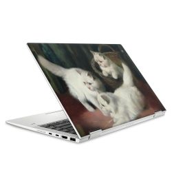 Foils for Laptops matt