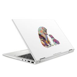 Foils for Laptops matt