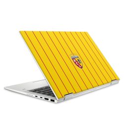 Foils for Laptops matt