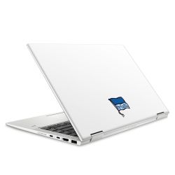 Folien für Laptops matt