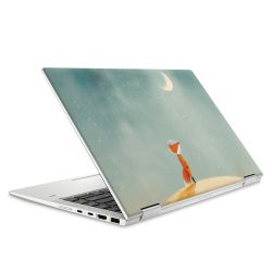 Foils for Laptops matt