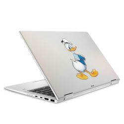 Foils for Laptops matt