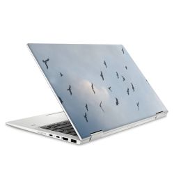 Foils for Laptops matt