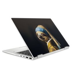 Foils for Laptops matt