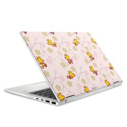 Foils for Laptops matt