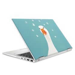 Foils for Laptops matt