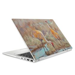 Foils for Laptops matt