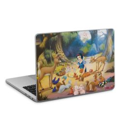 Foils for Laptops matt